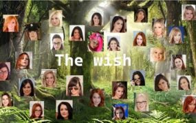 愿望/The Wish（v0.41）