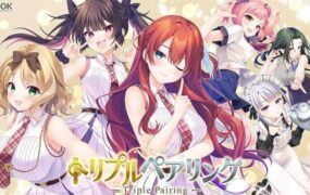 三重配对/Triple Pairing（v1.0.1）